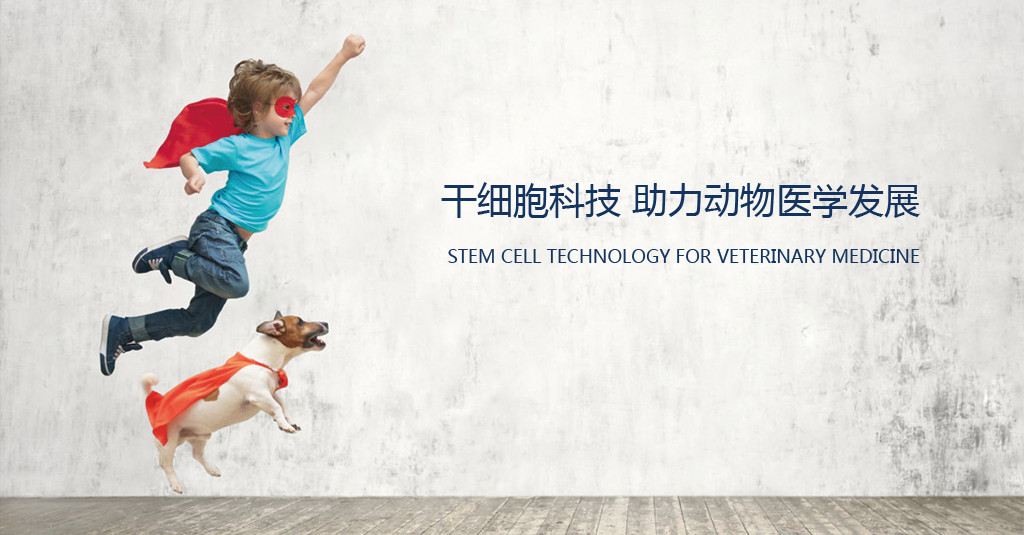 干细胞科技助力动物医学发展